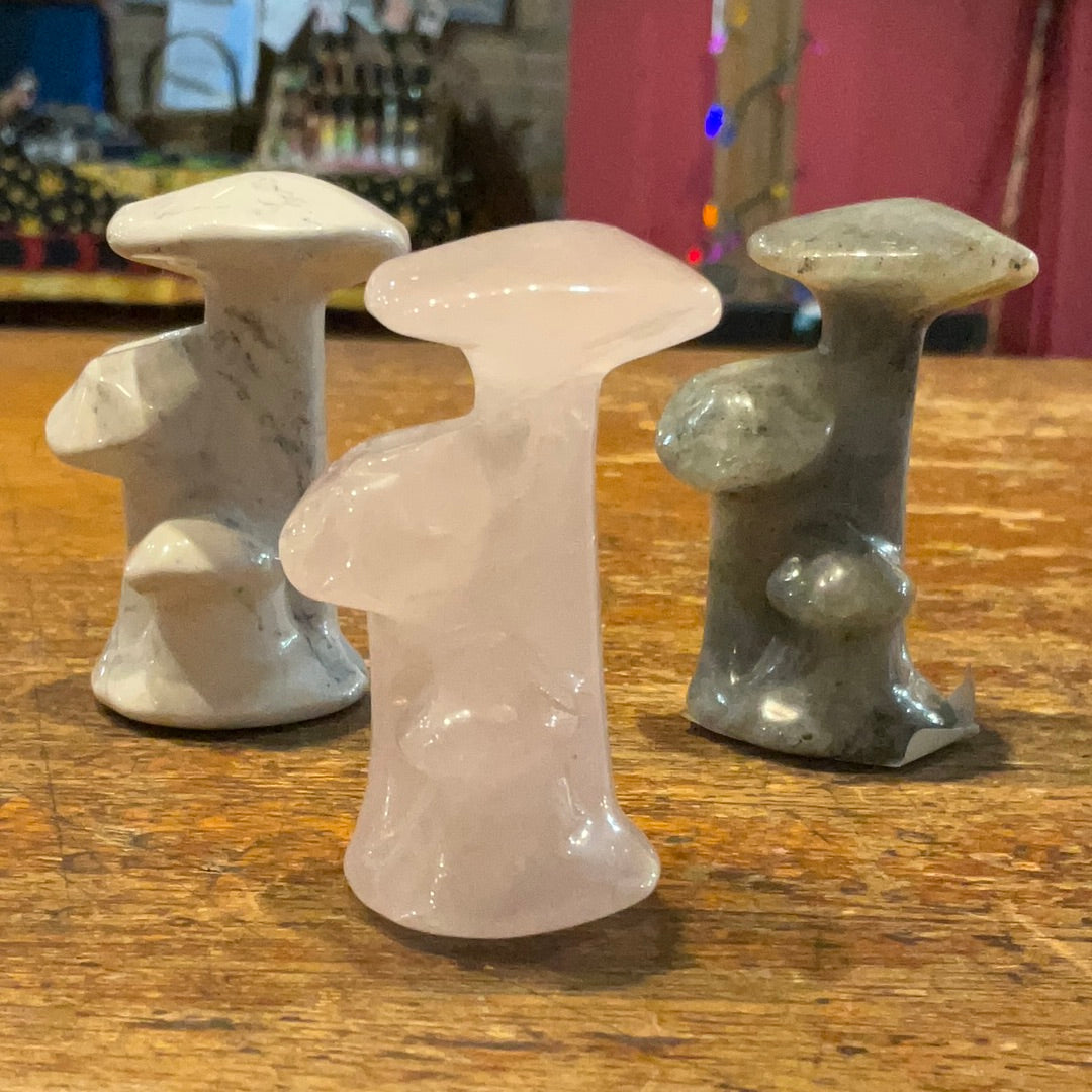 Triple Mushrooms